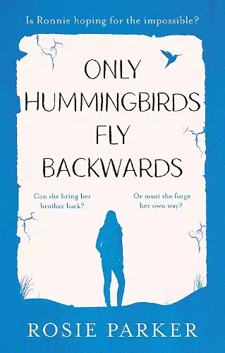 Only Hummingbirds Fly Backwards cover