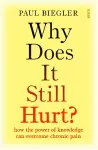 Why Does It Still Hurt? cover