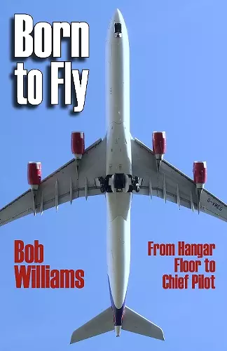 Born to Fly cover