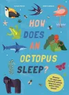 How Does An Octopus Sleep? cover