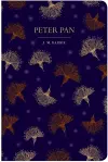 Peter Pan cover