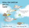 HOW THE PELICAN GOT ITS NAME cover