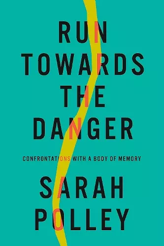 Run Towards The Danger cover
