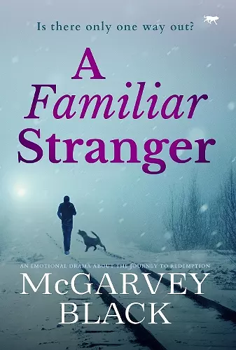 A Familiar Stranger cover