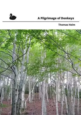 A A Pilgrimage of Donkeys cover