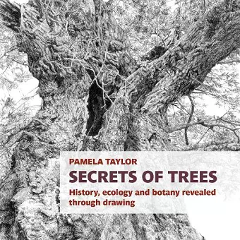 Secrets of Trees cover