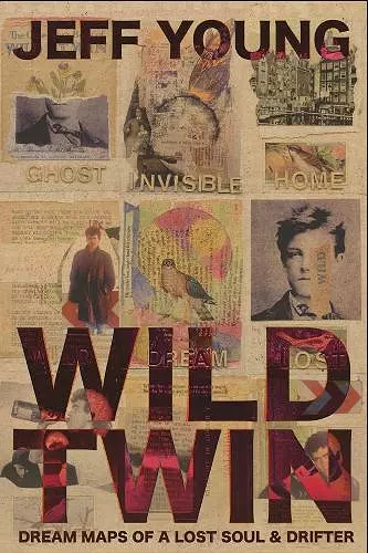 Wild Twin cover