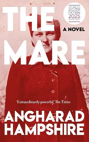 The Mare cover