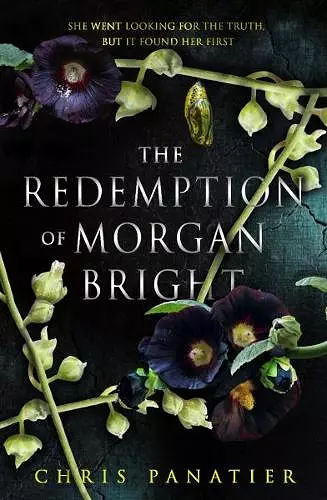 The Redemption of Morgan Bright cover