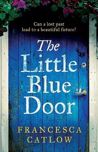 The Little Blue Door cover
