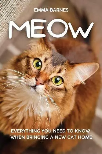 Meow cover