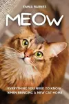 Meow cover