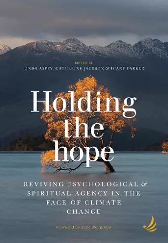 Holding the Hope cover