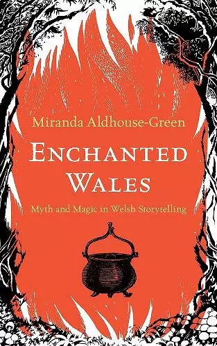 Enchanted Wales cover