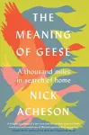 The Meaning of Geese cover