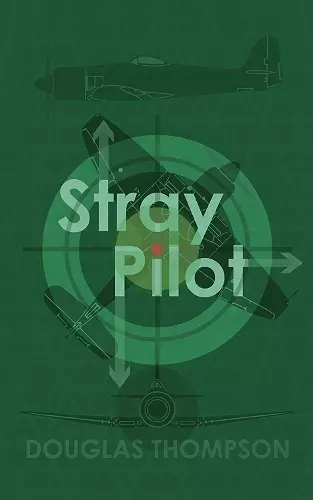 Stray Pilot cover