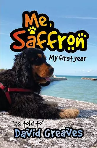 Me, Saffron cover