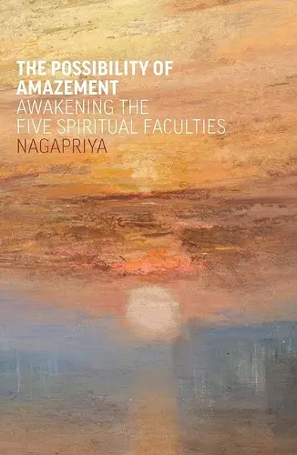 The Possibility of Amazement cover