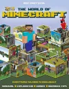 The World of Minecraft cover