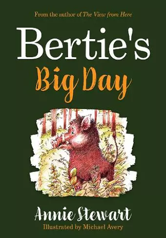 Bertie's Big Day cover