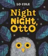 Night Night Otto cover