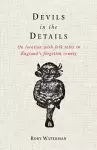 Devils in the Details cover