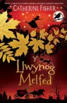 Y Llwynog Melfed cover