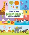 What's That Number? Counting To 100! cover