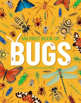 My First Book of Bugs cover