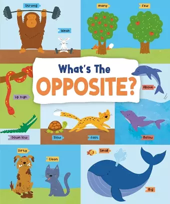 What's the Opposite? cover