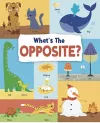 What's the Opposite? cover