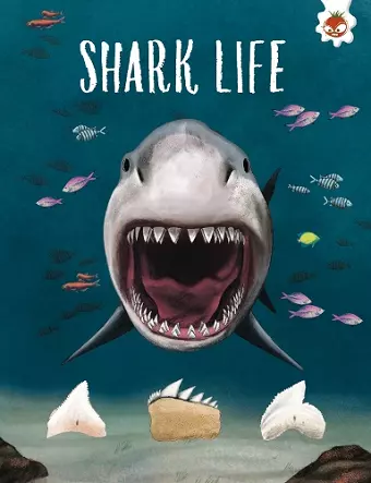 SHARK LIFE cover