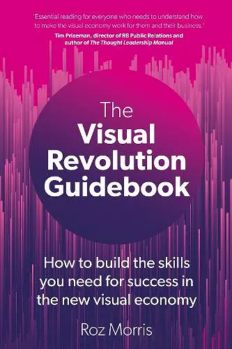 The Visual Revolution Guidebook cover