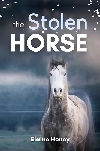 The Stolen Horse cover