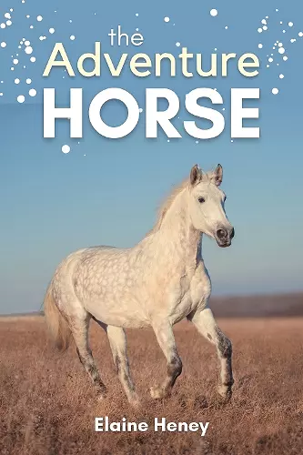 The Adventure Horse cover