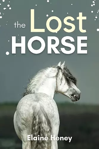 The Lost Horse cover