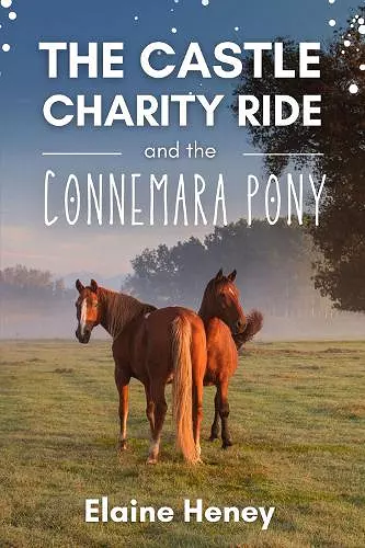 The Castle Charity Ride and the Connemara Pony - The Coral Cove Horses Series cover