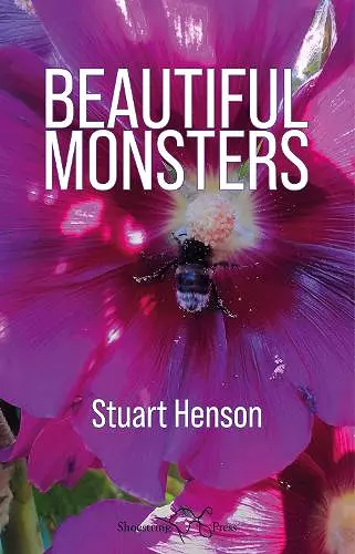 Beautiful Monsters cover