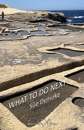 What To Do Next cover
