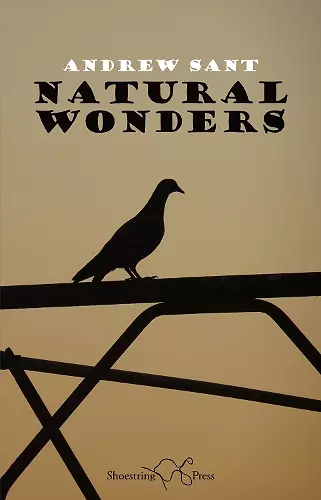 Natural Wonders cover