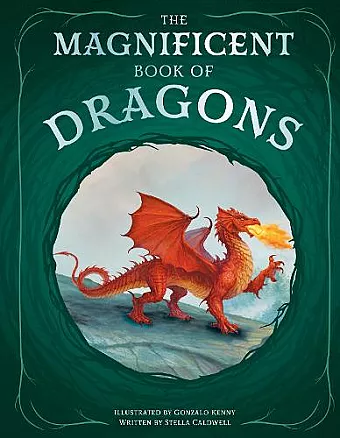 The Magnificent Book of Dragons cover