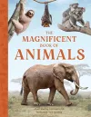 The Magnificent Book of Animals cover