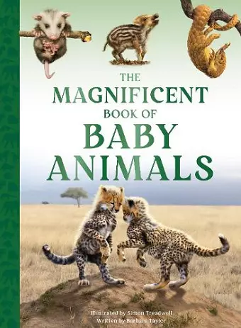 The Magnificent Book of Baby Animals cover