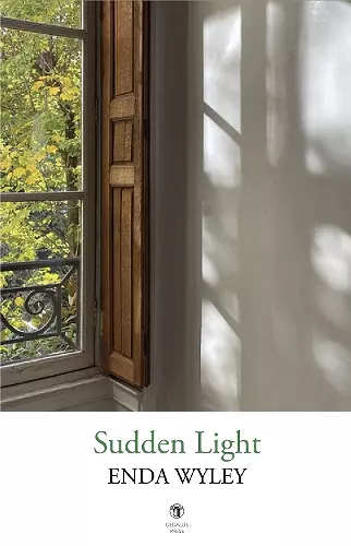 Sudden Light cover