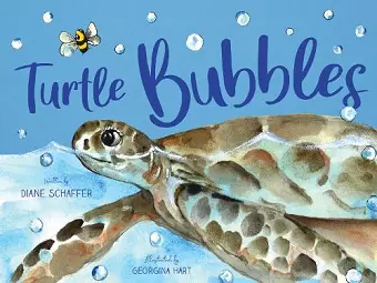 Turtle Bubbles cover