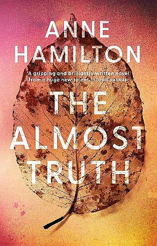 The Almost Truth cover