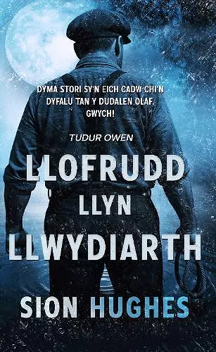 LLOFRUDD LLYN LLWYDIARTH cover