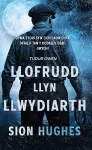 LLOFRUDD LLYN LLWYDIARTH cover