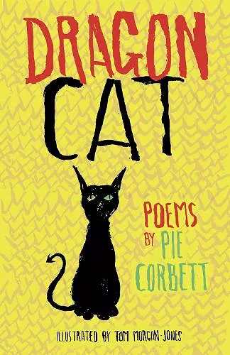 Dragon Cat cover