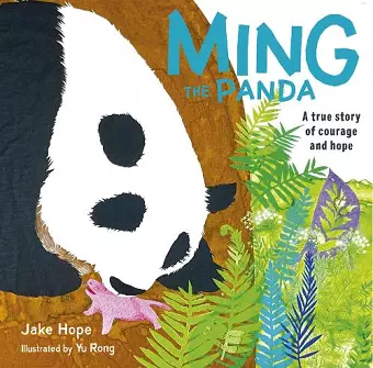 Ming the Panda cover